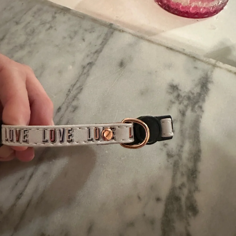 Friendship collar bracelet with matching cat collar love